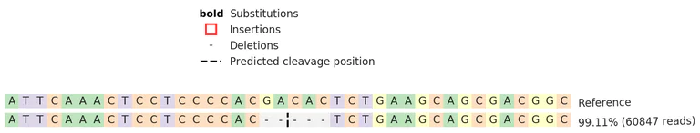 Next Generation Sequencing - Human HNRNPD knockout U-2 OS cell line (AB273860)