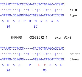 Next Generation Sequencing - Human HNRNPD knockout U-2 OS cell line (AB273860)