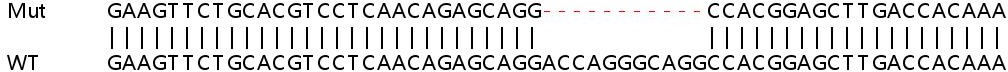 Sanger Sequencing - Human HNRNPF knockout HEK-293T cell line (AB266333), expandable thumbnail