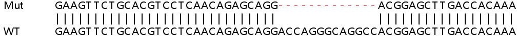 Sanger Sequencing - Human HNRNPF knockout HEK-293T cell line (AB266333), expandable thumbnail