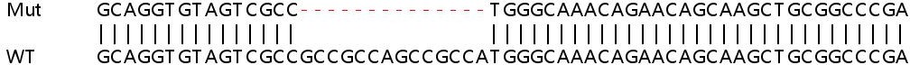 Sanger Sequencing - Human HPCAL1 (VILIP3) knockout HeLa cell line (AB265779)