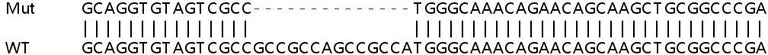 Sanger Sequencing - Human HPCAL1 (VILIP3) knockout HeLa cell line (AB265779)