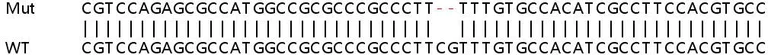 Sanger Sequencing - Human HPDL knockout HeLa cell lysate (AB257995)