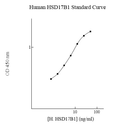 Sandwich ELISA - Human HSD17B1 ELISA Kit (AB283975)