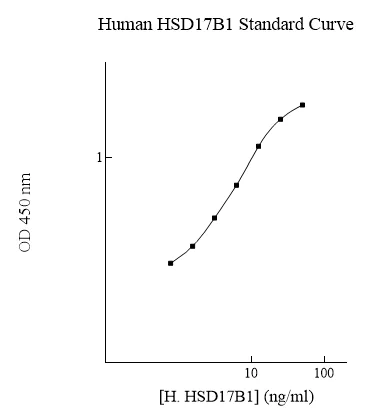 Sandwich ELISA - Human HSD17B1 ELISA Kit (AB283975)