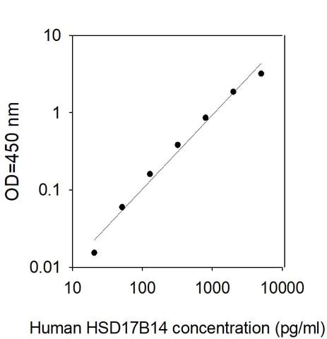 Sandwich ELISA - Human HSD17B14 ELISA Kit (AB313972)