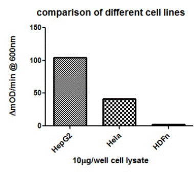 Sandwich ELISA - Human HSP60 ELISA Kit (AB124534), expandable thumbnail