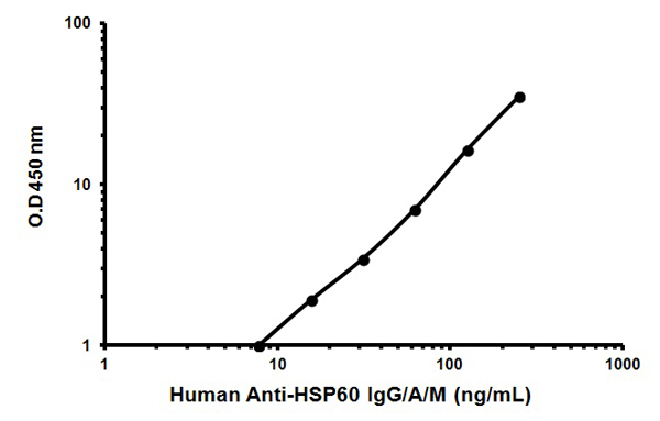 Indirect ELISA - Human Anti-HSP60 IgG/A/M ELISA Kit (AB133059), expandable thumbnail