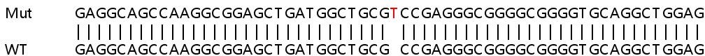 Sanger Sequencing - Human HTRA2 (Omi) knockout HEK-293T cell line (AB267250), expandable thumbnail