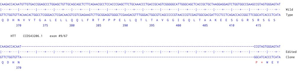 Next Generation Sequencing - Human HTT knockout U-87 MG cell line (AB306706), expandable thumbnail