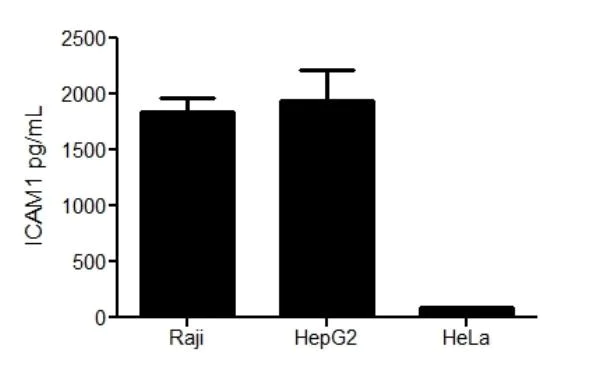 ELISA - Human ICAM1 ELISA Kit (CD54) (AB174445)
