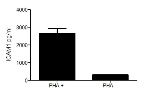 ELISA - Human ICAM1 ELISA Kit (CD54) (AB174445)