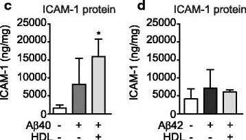 ELISA - Human ICAM1 ELISA Kit (CD54) (AB174445)