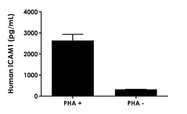 Sandwich ELISA - Human ICAM1 ELISA Kit, Fluorescent (AB229383)