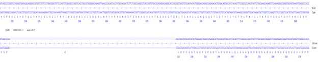 Next Generation Sequencing - Human ICAM1 knockout A549 cell line (AB289009), expandable thumbnail
