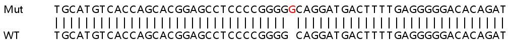 Sanger Sequencing - Human ICAM1 knockout HeLa cell lysate (AB256947), expandable thumbnail