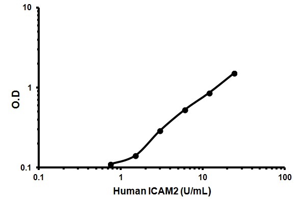 Sandwich ELISA - Human ICAM2 ELISA Kit (CD102) (AB46080)