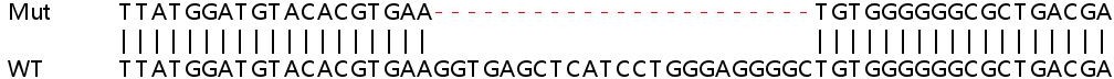 Sanger Sequencing - Human ICOSLG (ICOS Ligand) knockout HeLa cell line (AB265575), expandable thumbnail