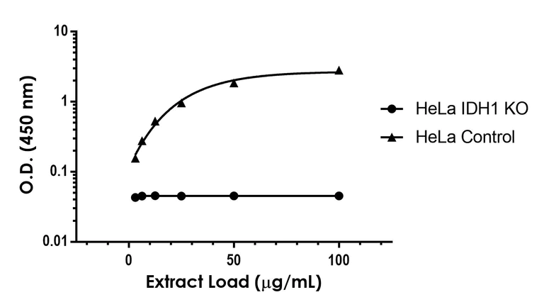 Sandwich ELISA - Human IDH1 ELISA Kit (AB288926)