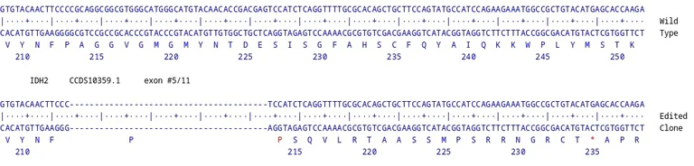 Next Generation Sequencing - Human IDH2 knockout HCT116 cell line (AB287496)