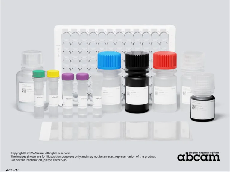 Human IDO ELISA Kit (ab245710) | Abcam