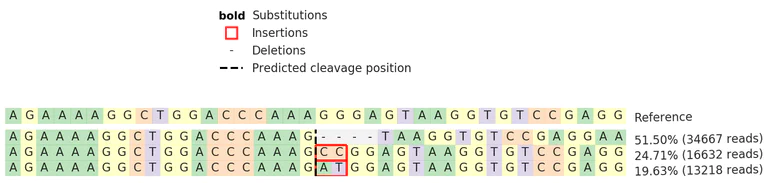 Next Generation Sequencing - Human IFI16 knockout Jurkat cell line (AB273854)