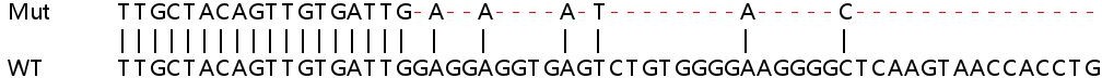 Sanger Sequencing - Human IFI27 knockout A549 cell lysate (AB258463)