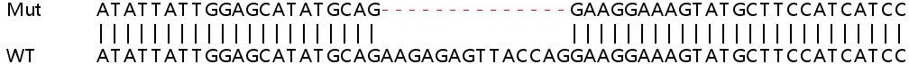 Sanger Sequencing - Human IFI44 knockout A549 cell line (AB267030), expandable thumbnail
