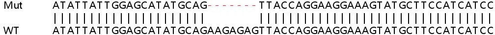 Sanger Sequencing - Human IFI44 knockout A549 cell line (AB267030), expandable thumbnail