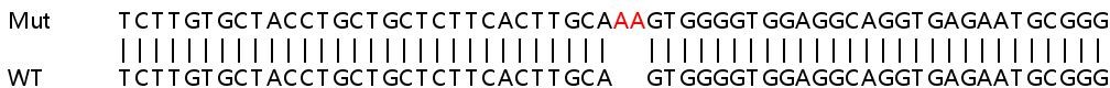 Sanger Sequencing - Human IFI6 knockout A549 cell lysate (AB258916), expandable thumbnail