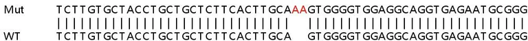Sanger Sequencing - Human IFI6 knockout A549 cell lysate (AB258916)