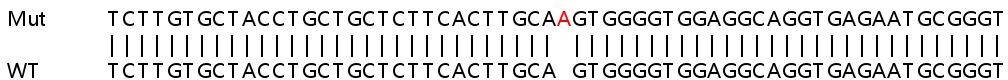 Sanger Sequencing - Human IFI6 knockout A549 cell lysate (AB258916), expandable thumbnail