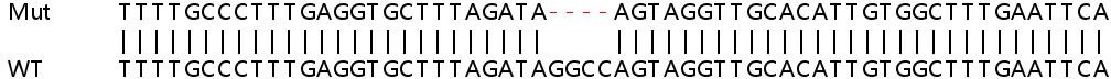 Sanger Sequencing - Human IFIT2 knockout A549 cell lysate (AB258919), expandable thumbnail