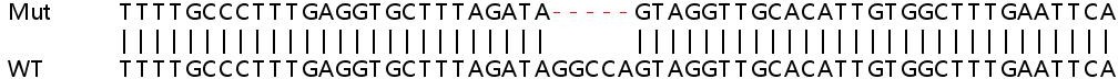 Sanger Sequencing - Human IFIT2 knockout A549 cell lysate (AB258919), expandable thumbnail