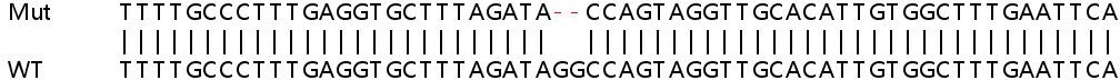 Sanger Sequencing - Human IFIT2 knockout A549 cell lysate (AB258919), expandable thumbnail