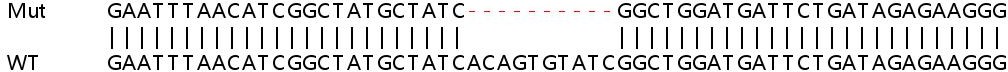 Sanger Sequencing - Human IFIT5 knockout A549 cell line (AB267022), expandable thumbnail