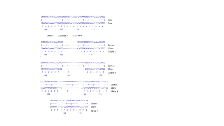 Next Generation Sequencing - Human IFNGR1 knockout HEK-293 cell line (AB269471)