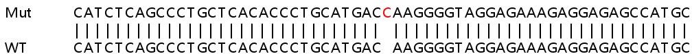 Sanger Sequencing - Human IFNGR1 knockout HeLa cell line (AB265111), expandable thumbnail