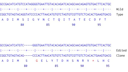 Next Generation Sequencing - Human IFNGR2 knockout A549 cell line (AB287506)