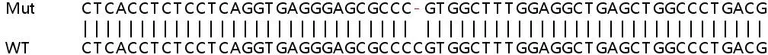 Sanger Sequencing - Human IFNL3 knockout A549 cell line (AB266972)