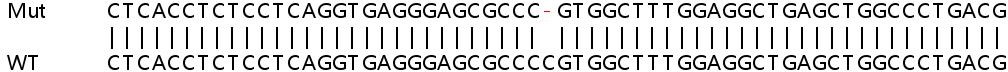 Sanger Sequencing - Human IFNL3 knockout A549 cell lysate (AB257999)