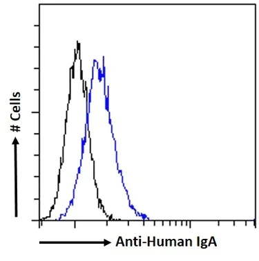 Flow Cytometry - Anti-Human IgA Antibody [15D6] (AB316358)