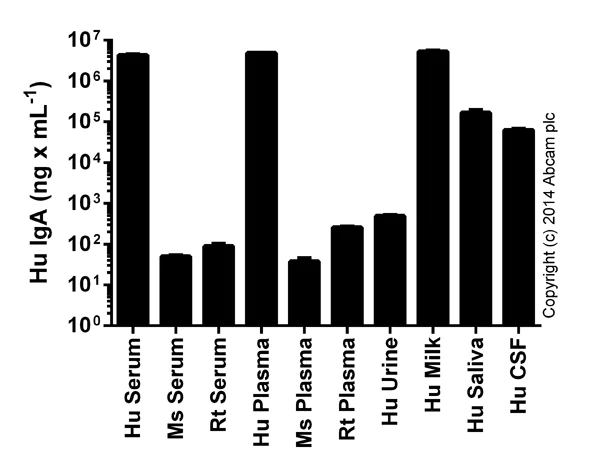 Sandwich ELISA - Human IgA ELISA Kit (AB137980)