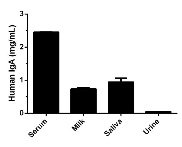 Sandwich ELISA - Human IgA ELISA Kit (AB196263)