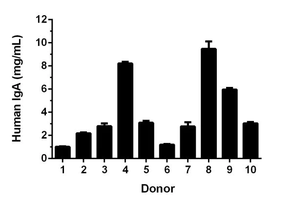 Sandwich ELISA - Human IgA ELISA Kit (AB196263)