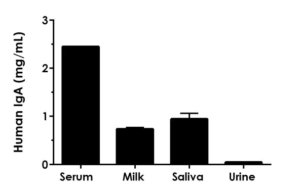Sandwich ELISA - Human IgA ELISA Kit, Fluorescent (AB229396)