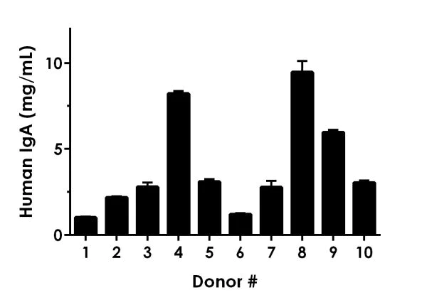 Sandwich ELISA - Human IgA ELISA Kit, Fluorescent (AB229396)