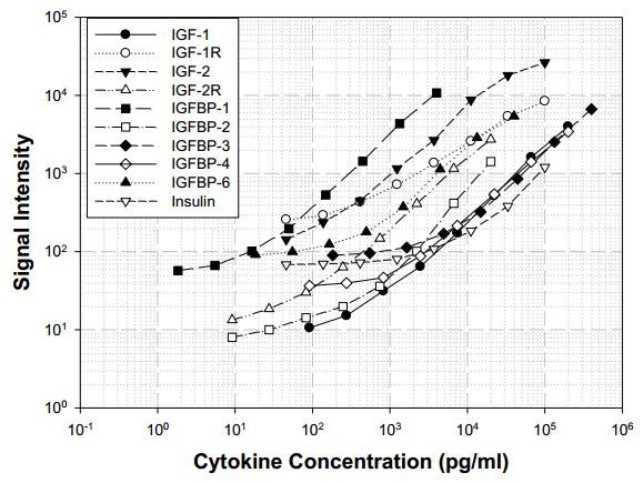Multiplex Protein Detection - Human IGF Signaling Antibody Array (10 Targets) - Quantitative (AB197446)