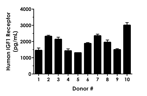 Sandwich ELISA - Human IGF1 Receptor ELISA Kit (AB275102), expandable thumbnail