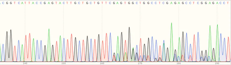 Sanger Sequencing - Human IGF1R (IGF1 Receptor) knockout HeLa cell line (AB264801)